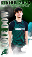 COLE DOW BANNER