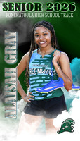 ALAISAH GRAY BANNER
