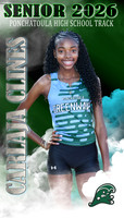 CARLAJA CLINES BANNER