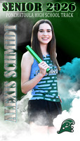 ALEXIS SCHMIDT BANNER