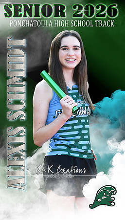 ALEXIS SCHMIDT BANNER