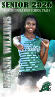 DEVASIA WILLIAMS BANNER