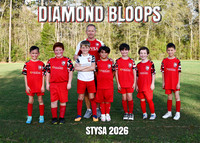 DIAMOND BLOOPS