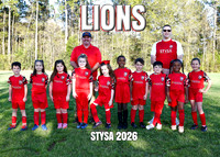 LIONS