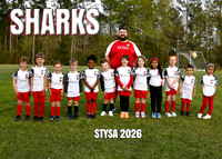 SHARKS