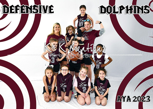 5x7 defensive dolphins g4-6 team