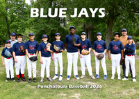 13-14 BOYS BLUE JAYS
