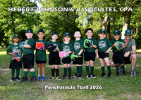 TBALL HEBERT JOHNSON & ASSOCIATES CPA