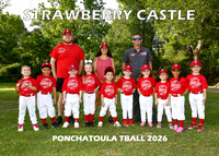 TBALL STRAWBERRY CASTLE