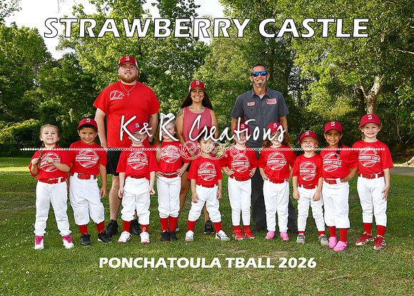 5X7 TBALL STRAWBERRY CASTLE TEAM