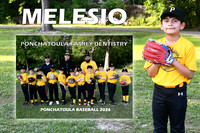 MELESIO PINA MM