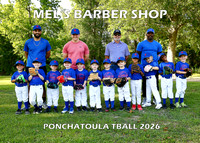 5X7 TBALL MELS BARBER SHOP TEAM