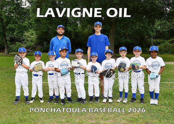 5X7 6CP BOYS LAVIGNE OIL TEAM
