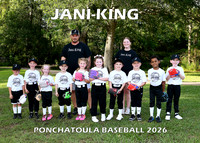 5X7 TBALL JANI KING TEAM