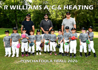 5X7 TBALL R WILLIAMS AC AND HEATING TEAM