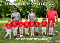 TBALL STRAWBERRY CASTLE TOO