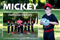 MICKEY CARROLL MM