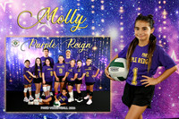 molly lesaicherre memory mate