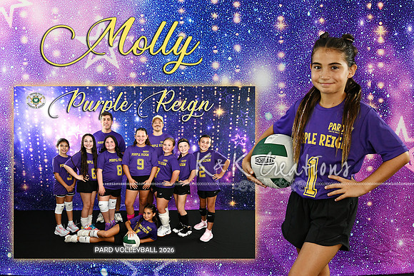 molly lesaicherre memory mate