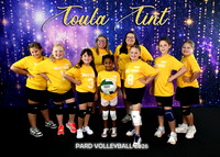5x7 SPONSOR TOULA TINT