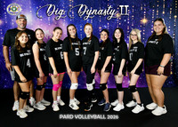 13-17 DIG DYNASTY II
