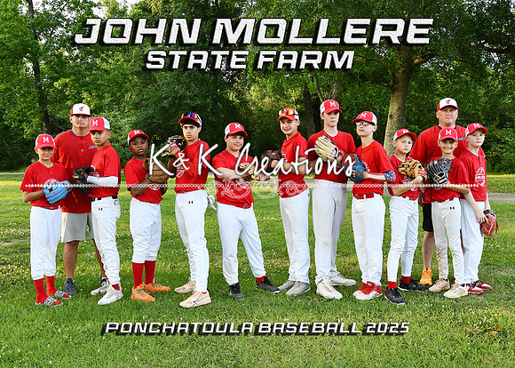 5X7 JOHN MOLLERE STATE FARM 1-1
