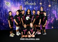9-10 WEASELS