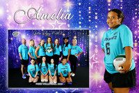 amelia edwards memory mate
