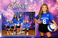 aubrey adams memory mate