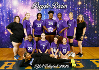 PURPLE PIXIES