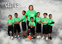 5X7 CELTICS TEAM