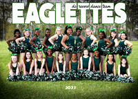 DC REEVES EAGLETTES DANCE TEAM