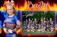 BAILY MORGAN MEMORY MATE
