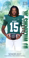 15 DJ WILLIAMS JR