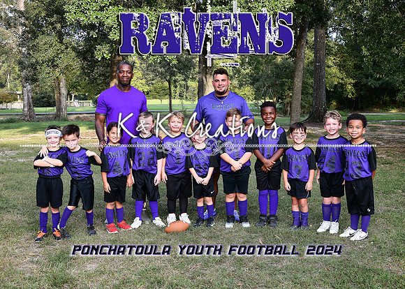 5X7 RAVENS FLAG TEAM