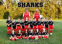 5X7 SHARKS 7-8U STYSA TEAM