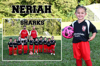 NERIAH CHATHAM MM