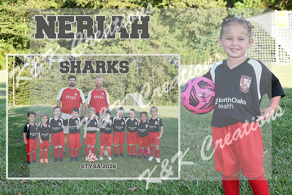 NERIAH CHATHAM MM
