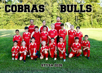 BULLS / COBRAS U9-U10 BOYS TEAM