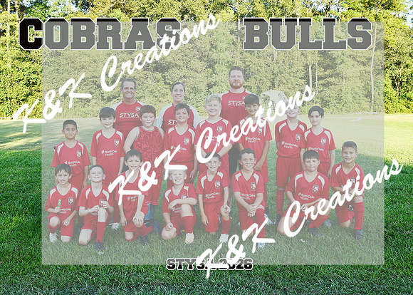 5X7 COBRAS BULLS TEAM
