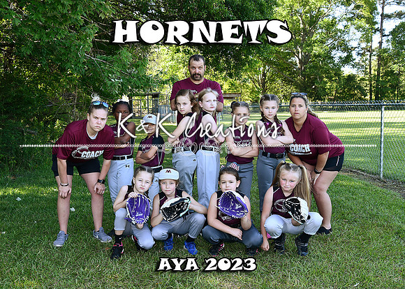 5X7 HORNETS TEAM