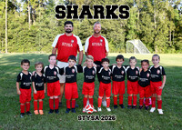 5X7 SHARKS 5-6U TEAM RODES