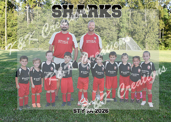 5X7 SHARKS 5-6U TEAM RODES