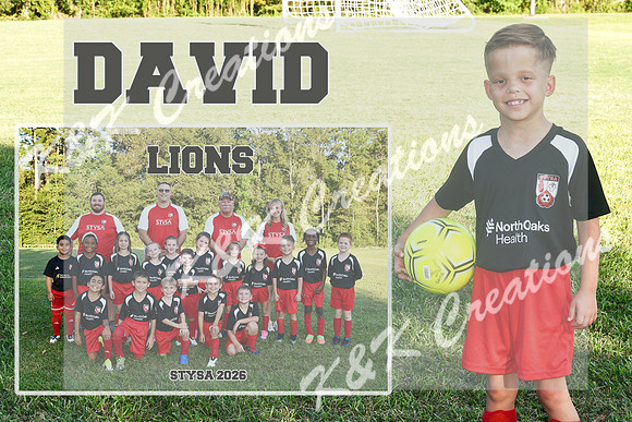 DAVID BURRIS MM