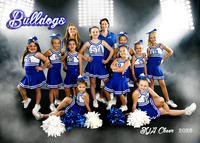 11-13 BULLDOGS CHEER