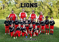 5X7 LIONS 7-8U COED TEAM