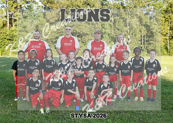 5X7 LIONS 7-8U COED TEAM