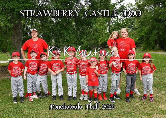 5X7 STRAWBERRY CASTLE TOO TEAM
