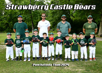 TBall Strawberry Castle Bears