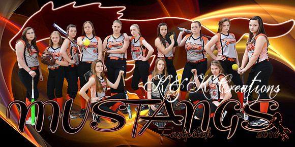 12X24 MUSTANGS BANNER